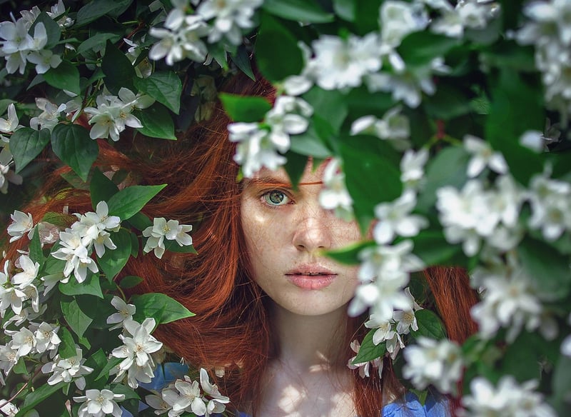 Whimsical Harmonies
